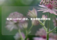 解决CSGO中BEX错误，重享顺畅游戏体验