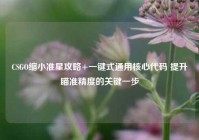 CSGO缩小准星攻略+一键式通用核心代码 提升瞄准精度的关键一步