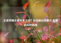 王者荣耀正版号多少钱？安全畅玩的基石 拒绝风险的选择