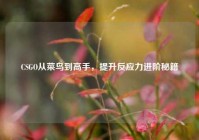 CSGO从菜鸟到高手，提升反应力进阶秘籍