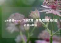 Upaly换绑Steam，详细流程、常见问题及游戏能否畅玩解答