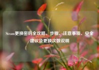 Steam更换密码全攻略，步骤、注意事项、安全建议及更换次数说明