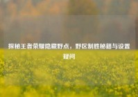 探秘王者荣耀隐藏野点，野区制胜秘籍与设置疑问