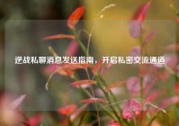 逆战私聊消息发送指南，开启私密交流通道