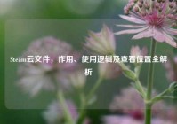 Steam云文件，作用、使用逻辑及查看位置全解析