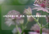 CF马力注册公司，机遇、挑战与发展策略剖析