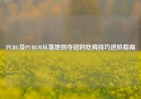 PUBG及PUBGM从落地到夺冠的吃鸡技巧进阶指南