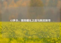 CF声卡，独特赠礼之选与购买探寻