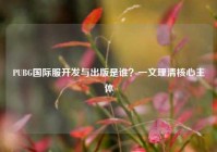 PUBG国际服开发与出版是谁？一文理清核心主体