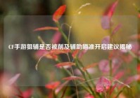 CF手游狙辅是否被削及辅助瞄准开启建议揭秘