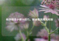 和平精英小熊小技巧，解锁赛场高光时刻