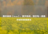 雨中森林（Steam），漫步林间，接住每一滴雨织成的孤独微光