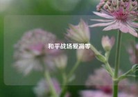 和平战场爱凋零