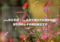 pubg段位表图｜Pubg高段位图片对比选购指南：提升游戏分享质感的视觉艺术