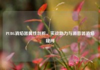 PUBG消焰器属性剖析，实战助力与消音器消焰疑问
