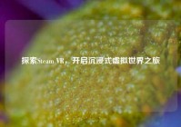 探索Steam VR，开启沉浸式虚拟世界之旅