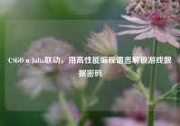 CSGO×Julia联动，用高性能编程语言解锁游戏数据密码