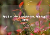 绝地求生（PUBG）走路跳舞教程，增添赛场个性风采
