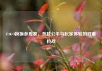 CSGO摸摸参现象，竞技公平与玩家体验的双重挑战