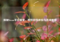 探秘Steam平台雷索，独特游戏体验与选项解析
