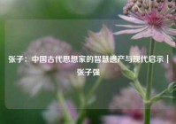 张子：中国古代思想家的智慧遗产与现代启示｜张子强
