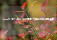 Steam平台GTA验证流程及电子邮箱验证问题解析