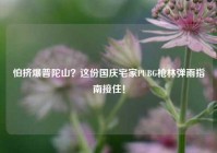 怕挤爆普陀山？这份国庆宅家PUBG枪林弹雨指南接住！