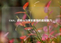 CSGO，透明AK与弹夹展现的虚拟魅力