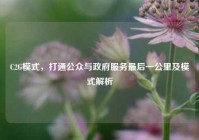 C2G模式，打通公众与政府服务最后一公里及模式解析
