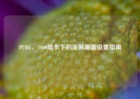 PUBG，1060显卡下的流畅画面设置指南