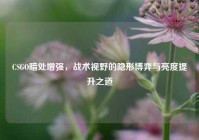 CSGO暗处增强，战术视野的隐形博弈与亮度提升之道