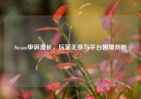 Steam申诉漫长，玩家无奈与平台困境剖析