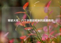 穿越火线，六个字情侣昵称的浪漫羁绊