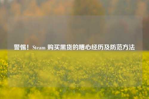 警惕!Steam 购买黑货的糟心经历及防范方法