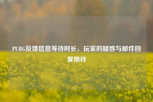 PUBG反馈信息等待时长,玩家的疑惑与邮件回复期待