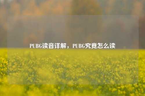 PUBG读音详解，PUBG究竟怎么读