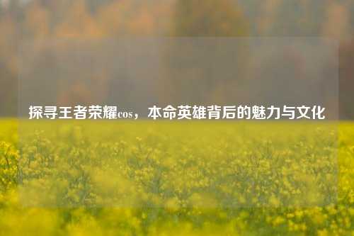 探寻王者荣耀cos,本命英雄背后的魅力与文化