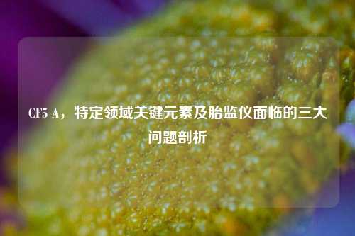 CF5 A,特定领域关键元素及胎监仪面临的三大问题剖析