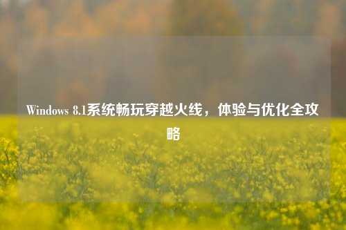 Windows 8.1系统畅玩穿越火线,体验与优化全攻略