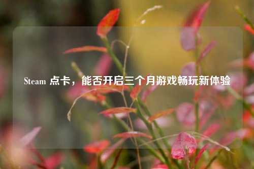 Steam 点卡,能否开启三个月游戏畅玩新体验