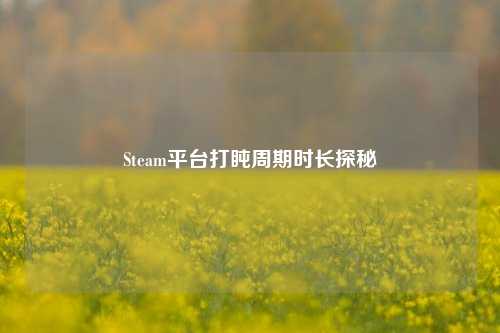 Steam平台打盹周期时长探秘