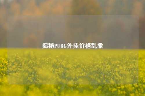 揭秘PUBG外挂价格乱象