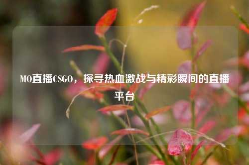 MO直播CSGO,探寻热血激战与精彩瞬间的直播平台
