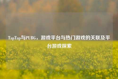 TapTap与PUBG,游戏平台与热门游戏的关联及平台游戏探索