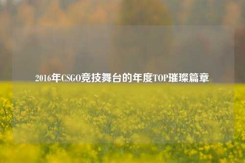 2016年CSGO竞技舞台的年度TOP璀璨篇章
