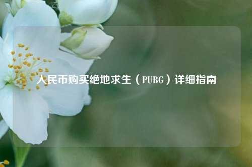 人民币购买绝地求生(PUBG)详细指南