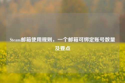 Steam邮箱使用规则,一个邮箱可绑定账号数量及要点