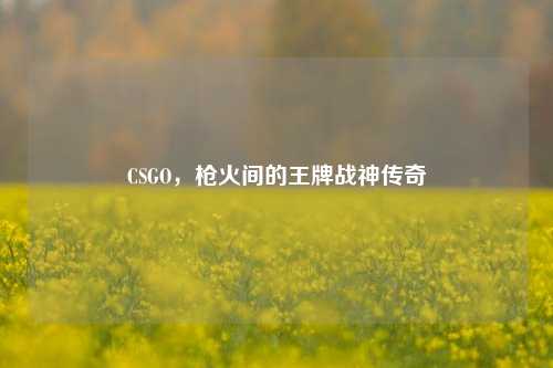 CSGO，枪火间的王牌战神传奇