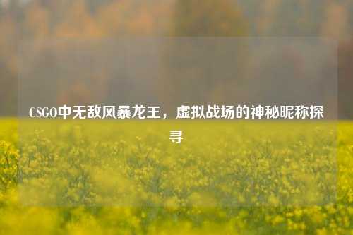 CSGO中无敌风暴龙王,虚拟战场的神秘昵称探寻