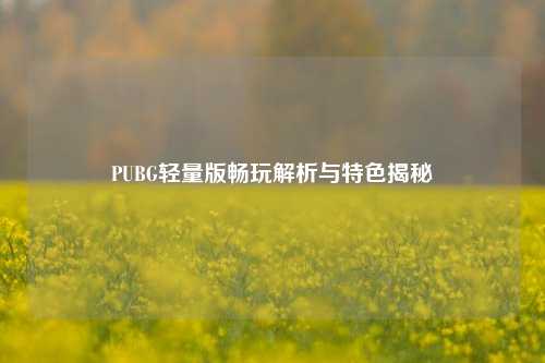 PUBG轻量版畅玩解析与特色揭秘